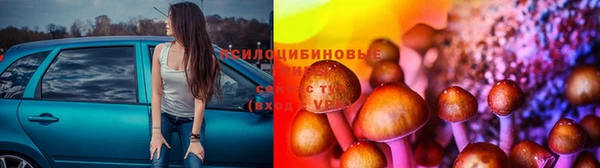 mix Горняк