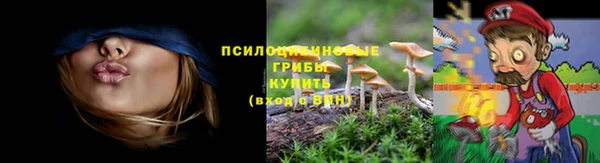 mix Горняк