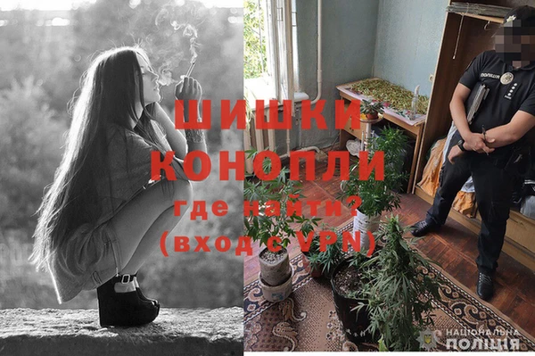 дмт Горно-Алтайск