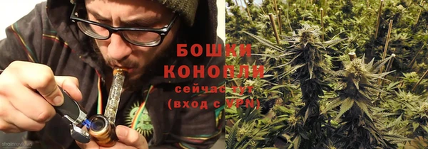 твердый Горнозаводск