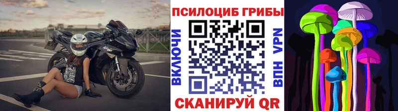Псилоцибиновые грибы MAGIC MUSHROOMS  mega ТОР  Зерноград  сколько стоит 