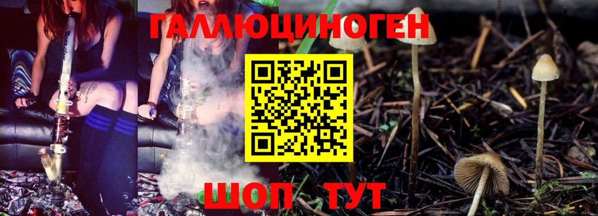 Псилоцибиновые грибы Magic Shrooms Зерноград